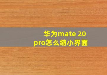 华为mate 20 pro怎么缩小界面